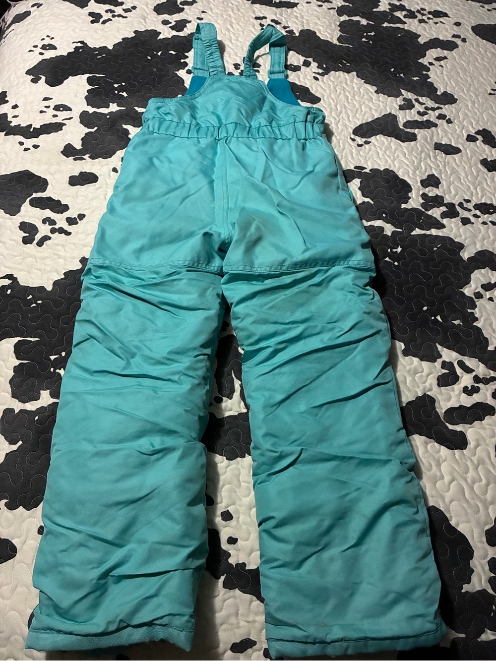 all in motion Teal Kids Snow Overalls